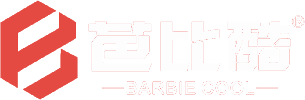 芭比酷 BARBIE COOL 汽车智能视觉解决方案